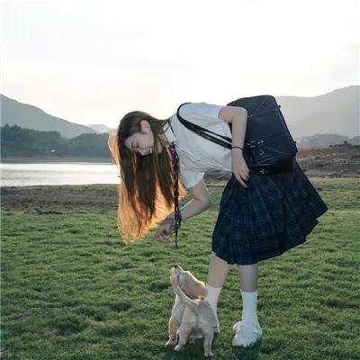 狗果定理