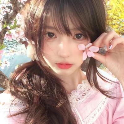 你好喵室友